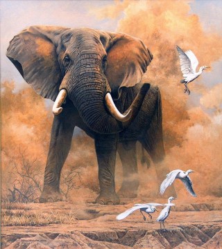 staubigen Elefanten mit Reihern